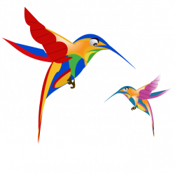 Google Hummingbird Update Free Image Created By ThoughtShift ...