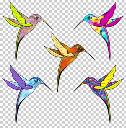 Hummingbird Drawing Color Beak PNG, Clipart, Art, Artwork ...
