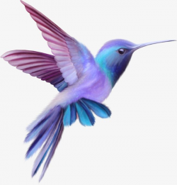 Color Cute Birds, Cute Clipart, Color Clipart, Colored Bird ...