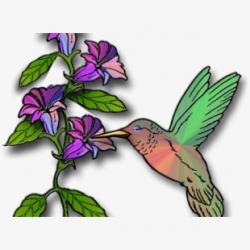 Free Hummingbird Clipart Cliparts, Silhouettes, Cartoons ...