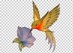 Hummingbird Tattoo Flash PNG, Clipart, Animal, Animals, Art ...