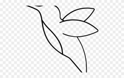 Hummingbird Clipart Flower Drawing - Png Download (#2832910 ...