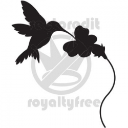 flower+silhouette | Hummingbird vector illustration | Things ...