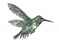 Hummingbird - Flying Hummingbird Vector - Rooweb Clipart