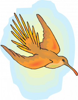 Sun Sky Bird Flying Hummingbird PNG Image - Picpng
