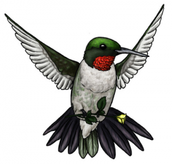 Free Free Hummingbird Clipart, Download Free Clip Art, Free ...