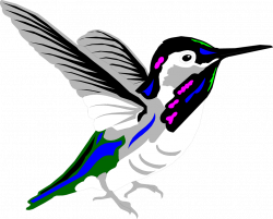 Hummingbird | Free Stock Photo | Illustration of a hummingbird | # 7124
