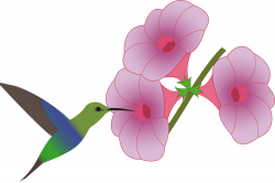 OnlineLabels Clip Art - Pretty Hummingbird