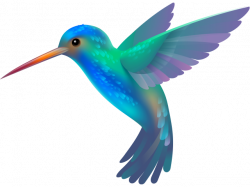 Free Hummingbird Clipart, Download Free Clip Art on Owips.com