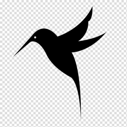 Hummingbird Drawing , humming bird transparent background ...