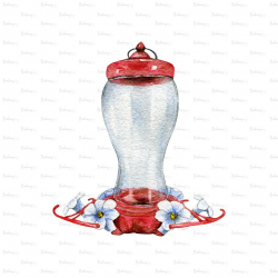 Watercolor Hummingbird Feeder PNG, Digital Download, Clipart, Sublimation  Graphics, Children Printables, Planner Stickers
