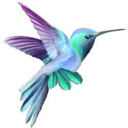 Clipart hummingbirds 5 » Clipart Station