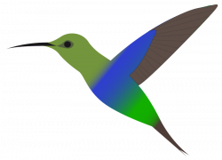 28+ Collection of Hummingbird Clipart Free Download | High quality ...