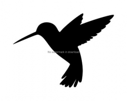 Hummingbird clipart | Etsy