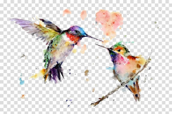 Two green hummingbirds illustration, Hummingbird Watercolor ...