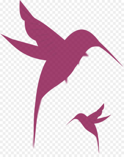 Hummingbird Drawing png download - 1540*1920 - Free ...