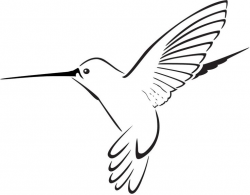 Printable hummingbird clipart clipartme - Cliparting.com