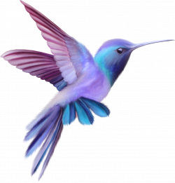 Beauty Hummingbird Free Clip Art. | Oh My Fiesta For Ladies!