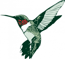 Ruby Throated Hummingbird Clipart | i2Clipart - Royalty Free ...