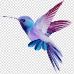 Bird Wing clipart - Bird, Purple, Wing, transparent clip art