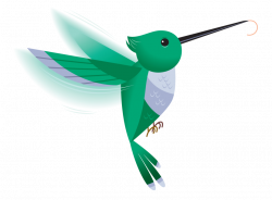 28+ Collection of Hummingbird Clipart Png | High quality, free ...