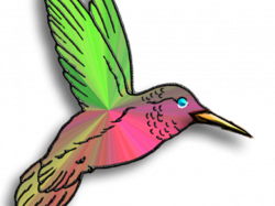 Free Hummingbird Clipart, Download Free Clip Art on Owips.com