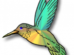 19 Hummingbird clipart HUGE FREEBIE! Download for PowerPoint ...