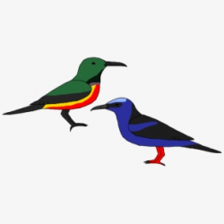 Hummingbird Clipart - Image - Hummingbird Clipart Black And ...