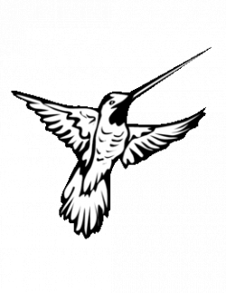 Download wmf 9 hummingbird.wmf pillow sham clipart ...