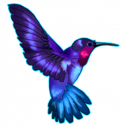 hummingbird with iris tattoo - Google Search | tattoos | Pinterest ...