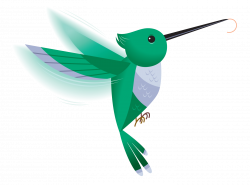 Bird In Everything: Hummingbird Graphics
