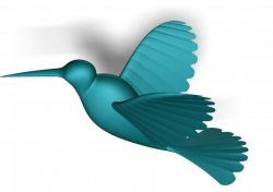 Hummingbird | 3D CAD Model Library | GrabCAD