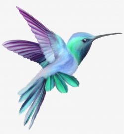 Image Result For Hummingbird - Hummingbird Clipart - Free ...