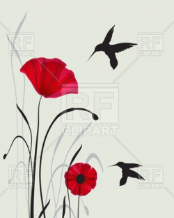 Two hummingbird silhouettes and red hand drawn poppies ...