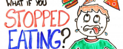 Watch: What Would Happen if You Stopped Eating?