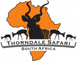Thorndale Safari - JH Group