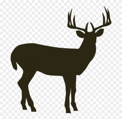 Hunter Clipart Moose Hunting - Pixwords Deer, HD Png ...