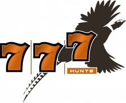 Kansas Pheasant Hunts - 777 Hunts