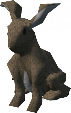 Rabbit (Vinesweeper) | RuneScape Wiki | FANDOM powered by Wikia