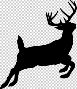 Reindeer Silhouette White-tailed Deer Hunting PNG, Clipart ...