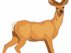 Deer Hunting Cliparts 15 - 616 X 785 | carwad.net