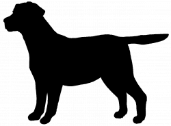 labrador drawing outline - Google Search | lab | Pinterest ...