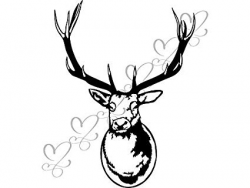 Amazon.com: Yetta Quiller Deer Taxidermy Trophy Award ...