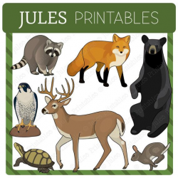 North American Wildlife Clipart, Woodland Animals Graphics ...