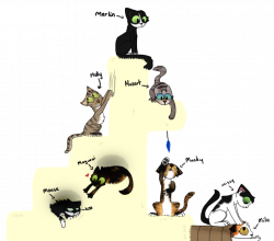 Kitty-cat playground by BeckyScribbles on DeviantArt