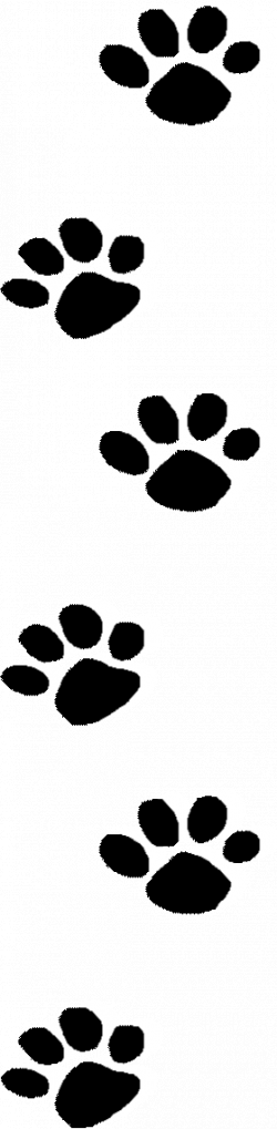 28+ Collection of Paw Print Clipart Transparent | High quality, free ...