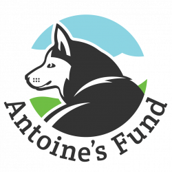 Antoine's Fund