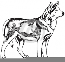 Free Clipart Husky Dog | Free Images at Clker.com - vector ...