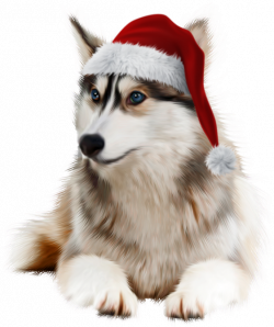 TUBE NOEL ANIMAUX | Dog 3D Tubes 2 | Pinterest | Christmas animals