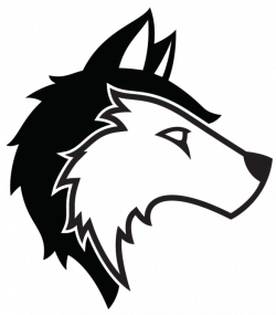 Siberian Husky Gray wolf Logo Clip art - husky 586*670 transprent ...